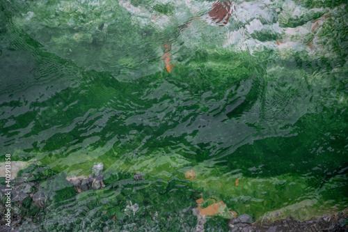 Green texture with water 