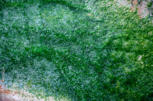 Green Texture 