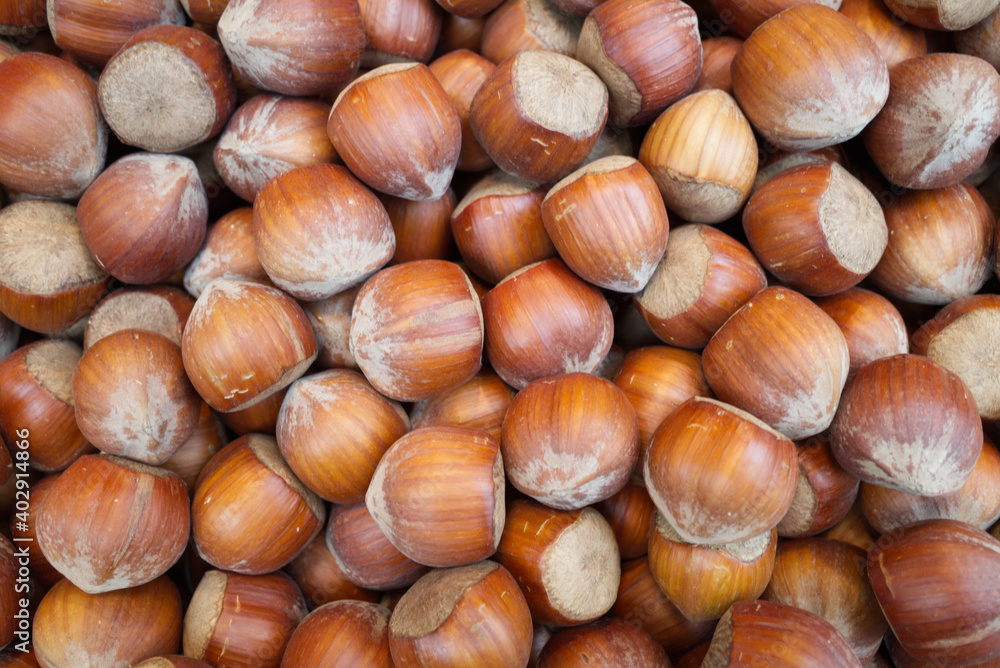 Top view, Pile of Hazelnuts background. Top view, Pile of Hazelnuts background.