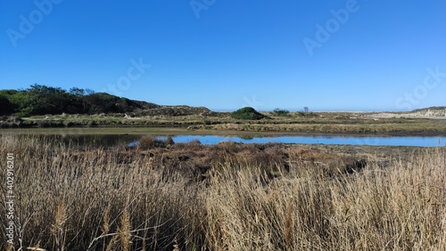 The mouth and estuary of Neiva River in Antas, Esposende, Portugal. The Ecovia Litoral Norte (North Coast Ecoway) wooden boardwalk.