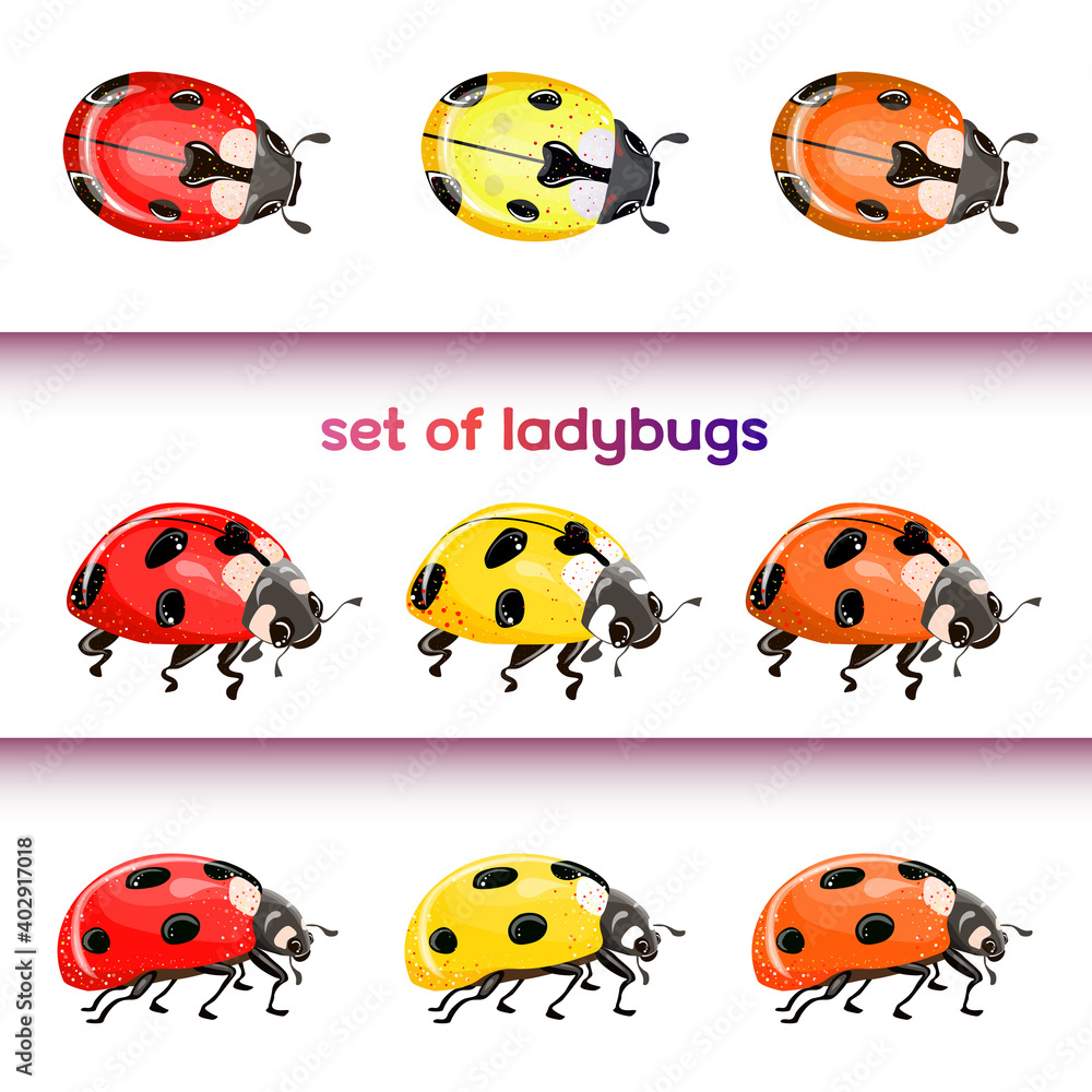 Set of red ladybug isolated on white. Multicolored beetles. Vector illustration. Set of red ladybug isolated on white. Multicolored beetles. Vector illustration.