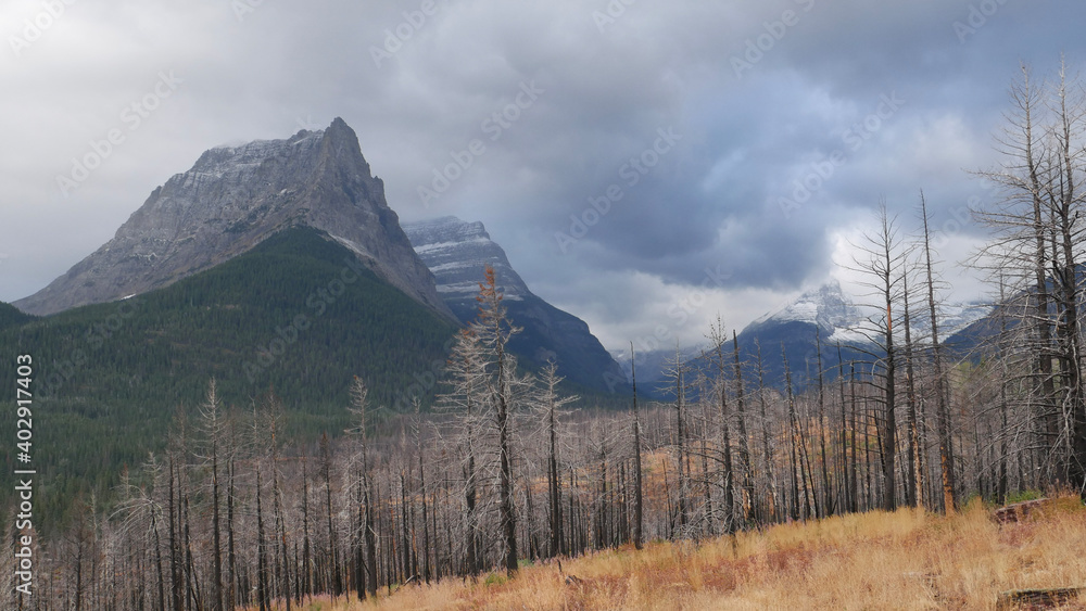 panorama of the mountains
