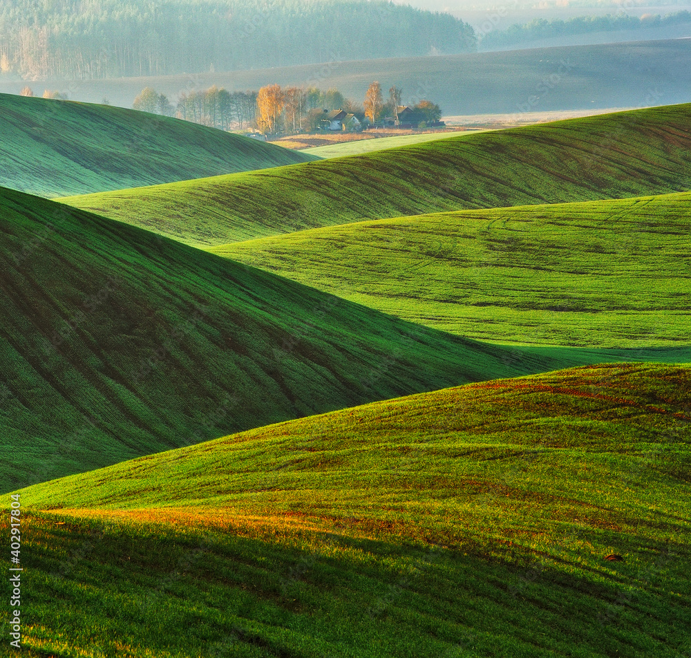 Rolling hills of green wheat fields. Amazing fairy minimalistic landscape with waves hills Rolling hills of green wheat fields. Amazing fairy minimalistic landscape with waves hills