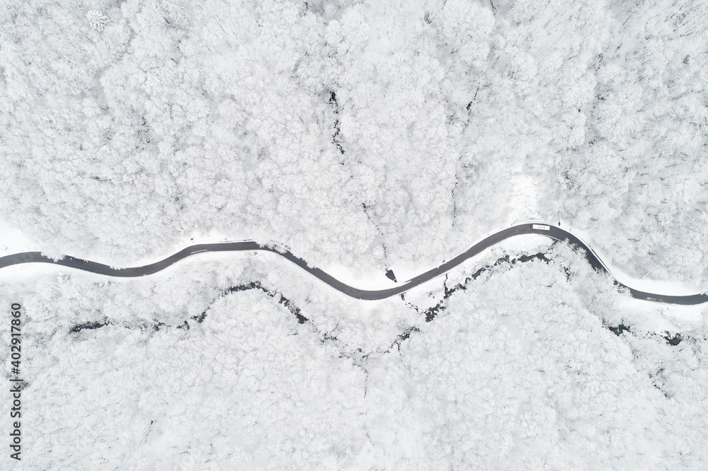 Aerial view of a road in the middle of the white forest