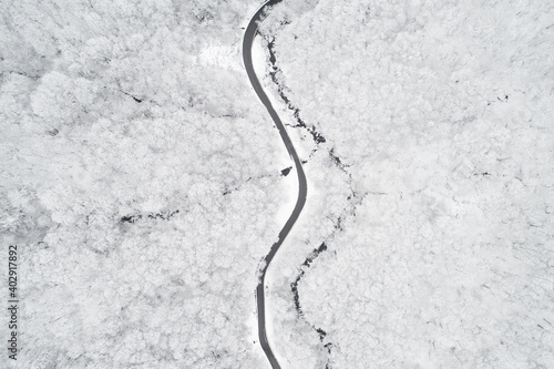 Aerial view of a road in the middle of the white forest © diana