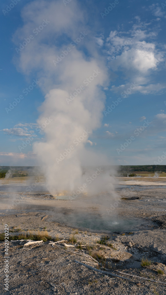 geyser in national park geyser in national park