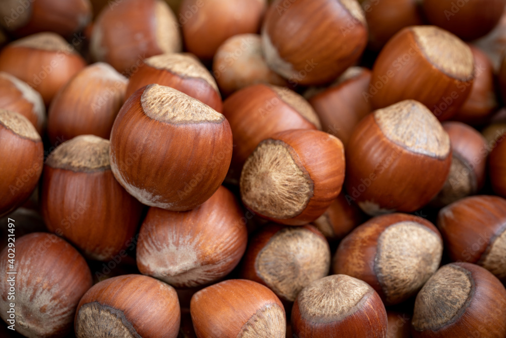 Lots of whole, unpeeled hazelnuts. Food background. Shallow depth of field Lots of whole, unpeeled hazelnuts. Food background. Shallow depth of field