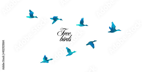Bird watercolor. A ducks flying south. Mixed media. Vector illustration