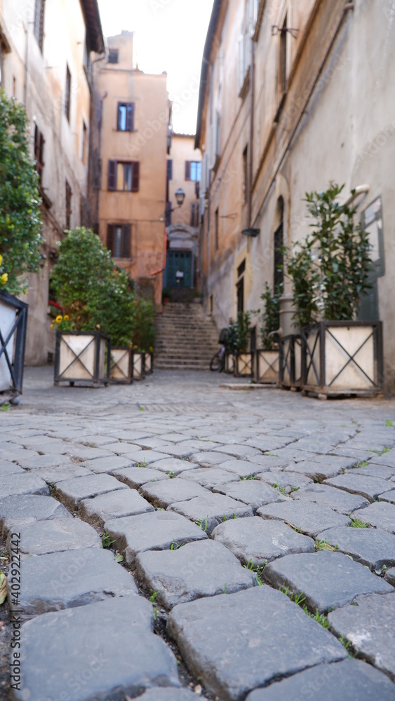 Street withpots and plants in the city of Rome, Italy