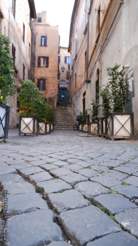 Street withpots and plants in the city of Rome  Italy