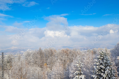 Superb winter landscape in the mountains in sunny weather. Snow-covered trees, branches in hoarfrost. Villages in the valley. Part of the Ukrainian Carpathians in Transcarpathia near Tyachiv. photo