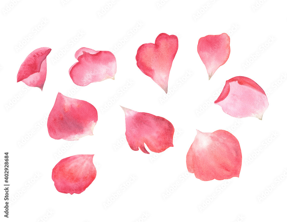 Red role petals set on white isolated background. Watercolor illustration. Romantic and passionate pack for stickers, Valentine's Day and botanical designs. Red role petals set on white isolated background. Watercolor illustration. Romantic and passionate pack for stickers, Valentine's Day and botanical designs.