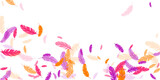 Orange purple pink red feather floating background