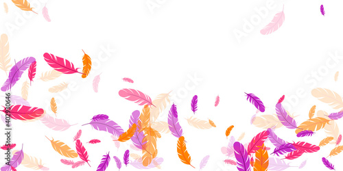 Orange purple pink red feather floating background