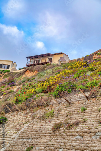Houses on moutain with flowers overlooking ocean in San Diego California