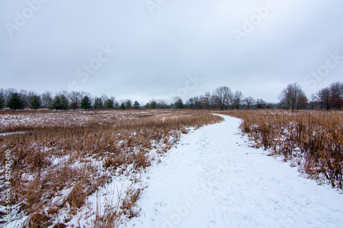 Beautiful snowy landscape seen while hiking. There is a fresh coat of bright white snow on the ground and a colorful plain of yellow and brown foliage on either side of a hiking path.