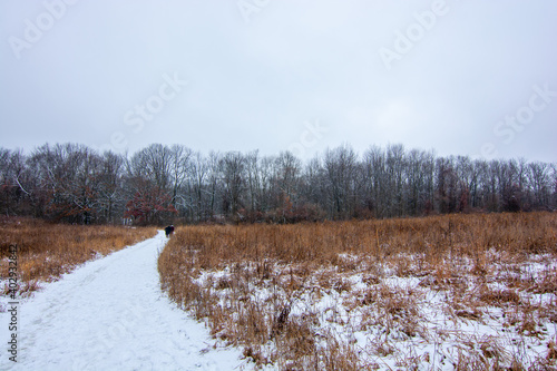 Beautiful snowy landscape seen while hiking. There is a fresh coat of bright white snow on the ground and a colorful plain of yellow and brown foliage on either side of a hiking path.