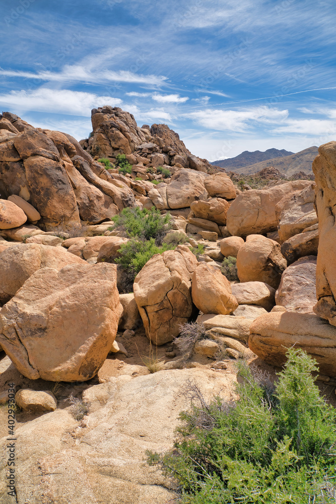 Joshua Tree National Park scenery on a sunny day with huge rocks and blue sky Joshua Tree National Park scenery on a sunny day with huge rocks and blue sky