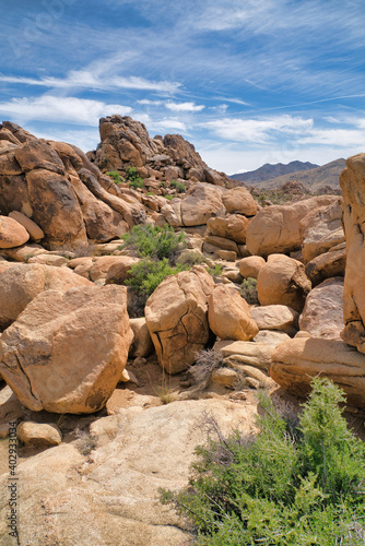 Joshua Tree National Park scenery on a sunny day with huge rocks and blue sky