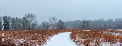 Wallpaper Mural Beautiful snowy landscape seen while hiking. There is a fresh coat of bright white snow on the ground and a colorful plain of yellow and brown foliage on either side of a hiking path. Torontodigital.ca