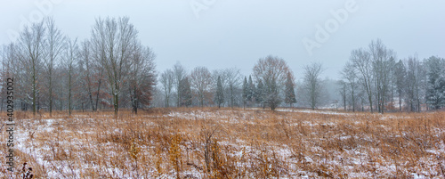 Wallpaper Mural Beautiful snowy landscape seen while hiking. There is a fresh coat of bright white snow on the ground and a colorful plain of yellow and brown foliage on either side of a hiking path. Torontodigital.ca