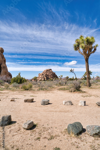 Pathway lined with rocks at Joshua Tree National Park against cloudy blue sky