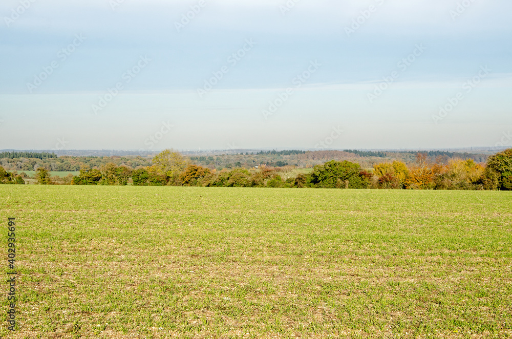View across Hampshire farmland with Reading in the far distance