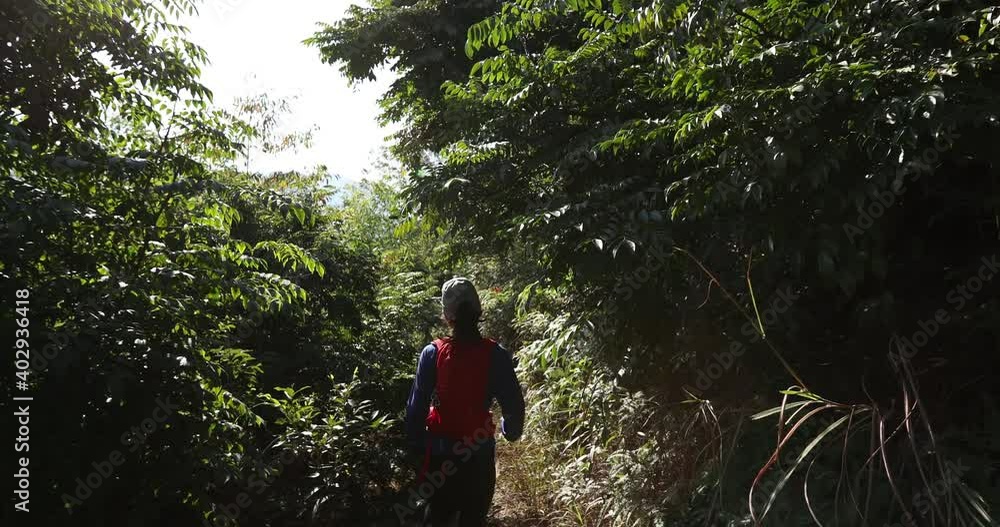 Asian woman running on trail at sunrise tropical forest Asian woman running on trail at sunrise tropical forest
