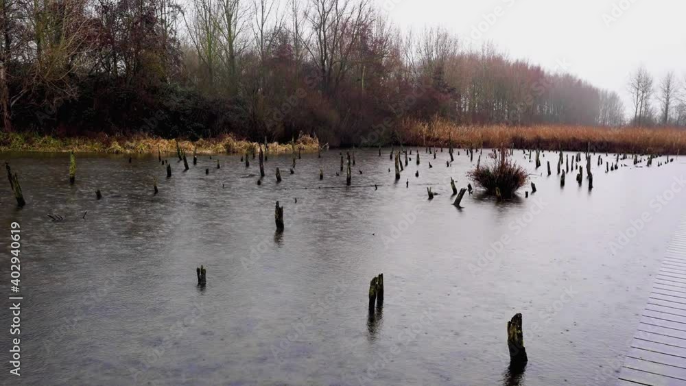 this place near to Houen in Netherland, so pretty place for walking or set mine free from all negative thoughts, cute places, and a peaceful place, rainy day in the Netherlands this place near to Houen in Netherland, so pretty place for walking or set mine free from all negative thoughts, cute places, and a peaceful place, rainy day in the Netherlands