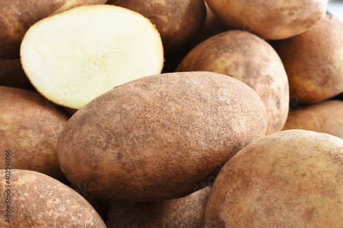 A close up image of several large organic russet potatoes in a pile. 