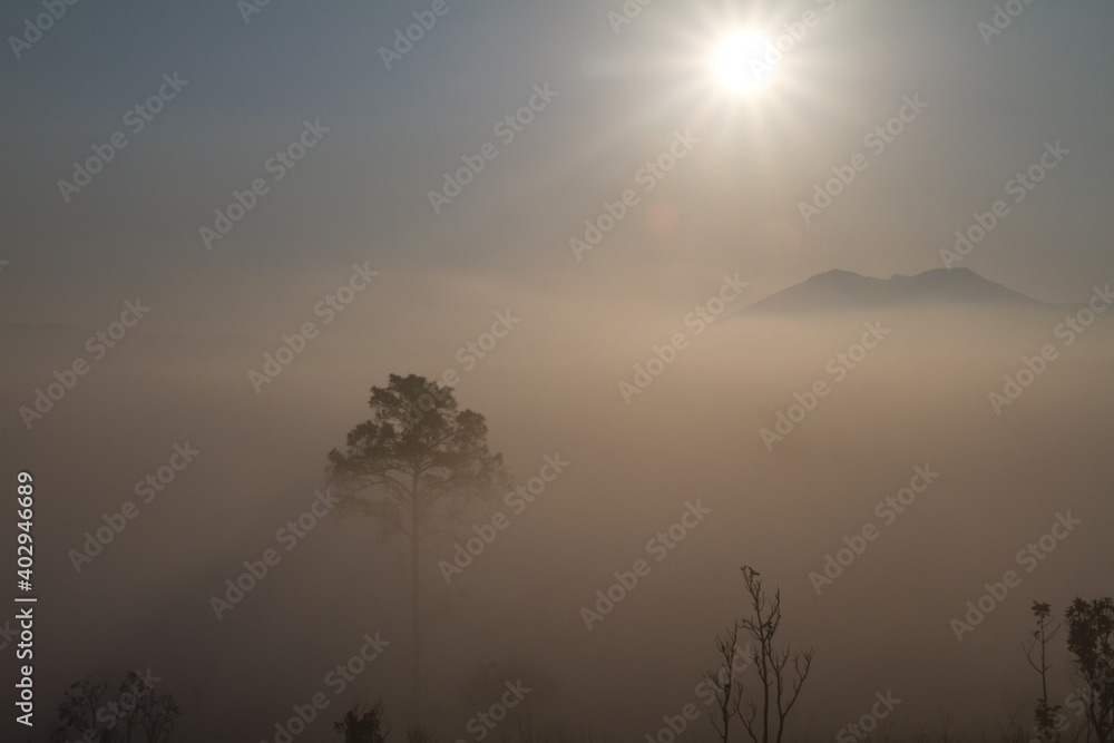 Fototapeta premium mist over the moutain