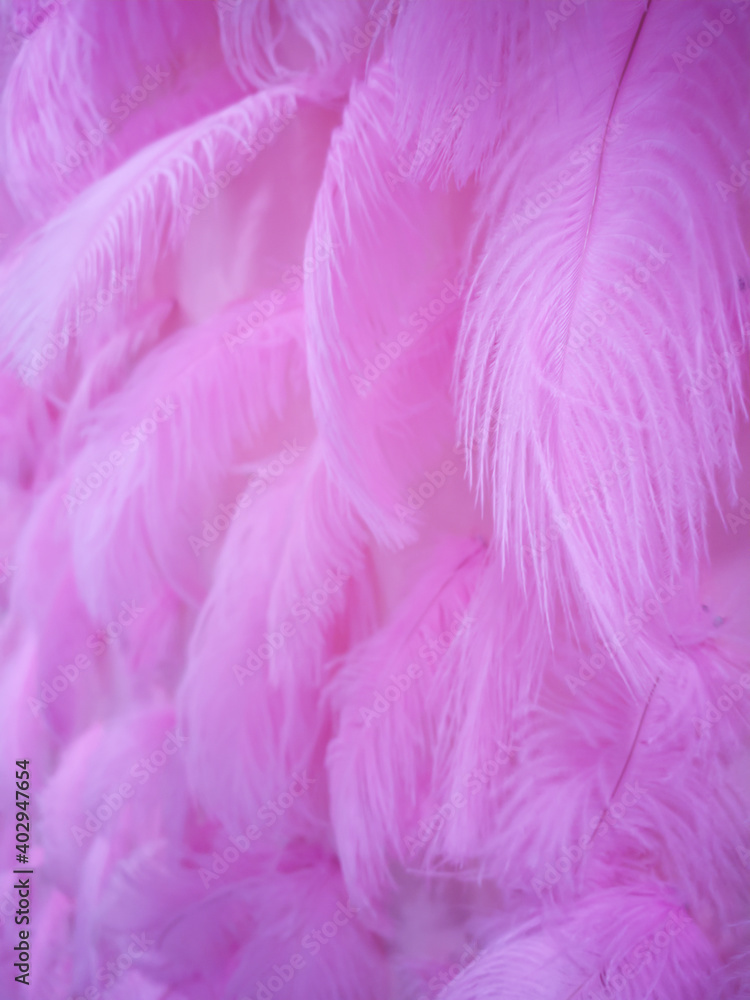 Pink Feathers Pink Feathers