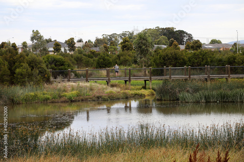 Wetlands in South East suburbs of Melbourne, Victoria, Australia showing trees, gardens, lake