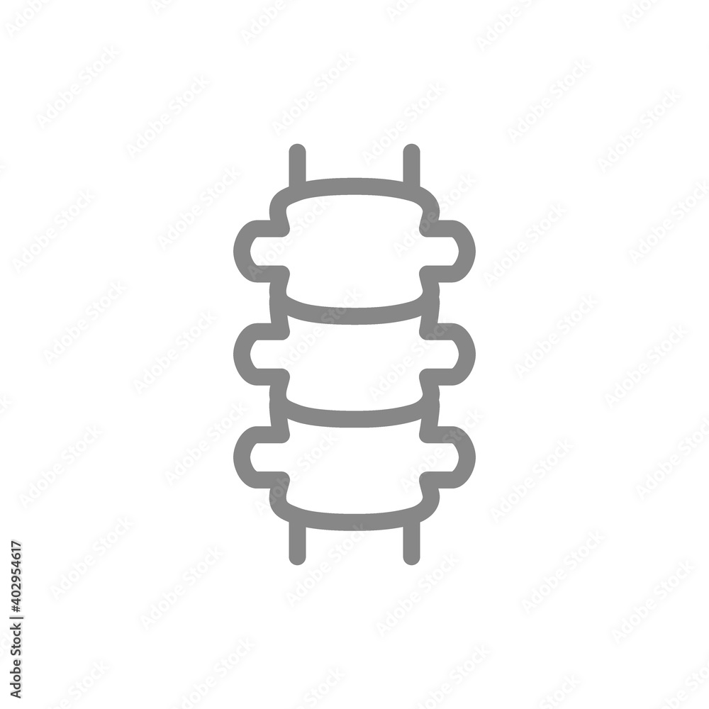 Human spine line icon. Healthy spinal canal symbol Human spine line icon. Healthy spinal canal symbol
