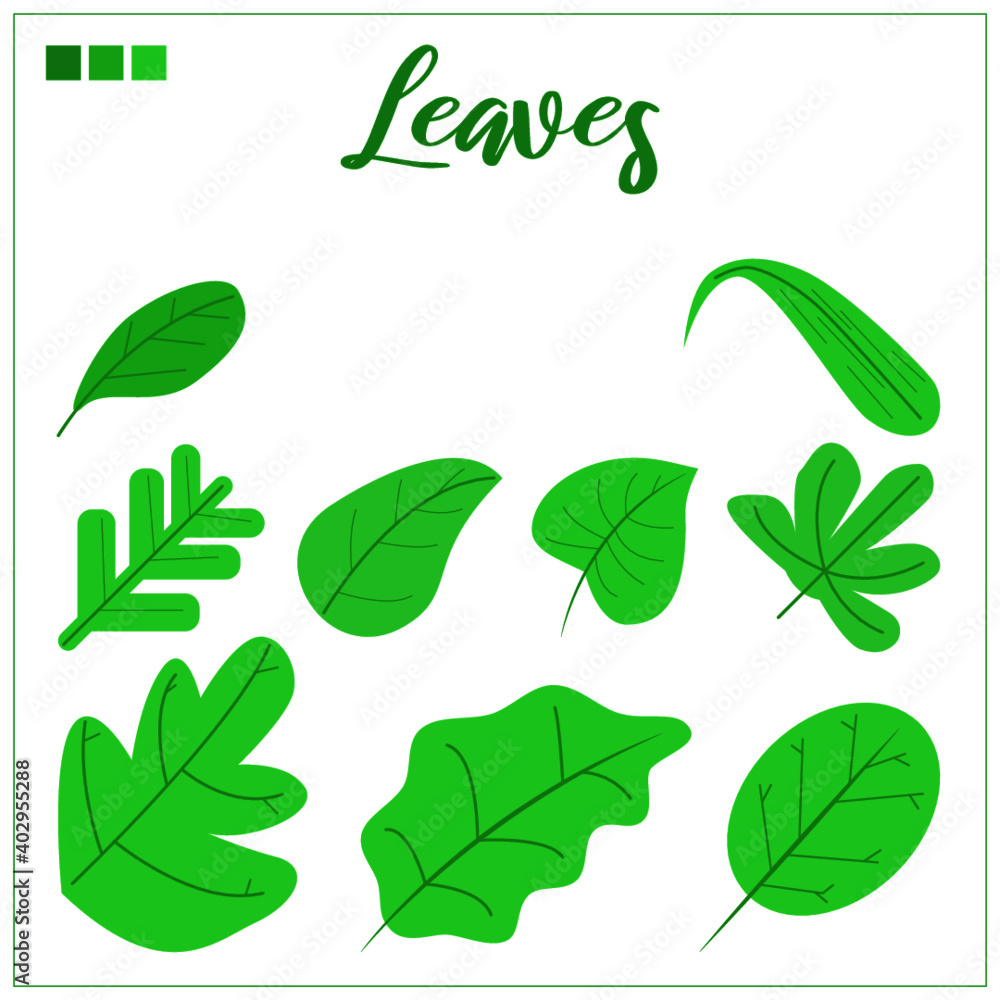 Various Leaves Vector with Transparent Background