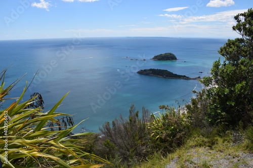 Small islands of the coast of New Zealand  surrounded by blue water on a sunny day