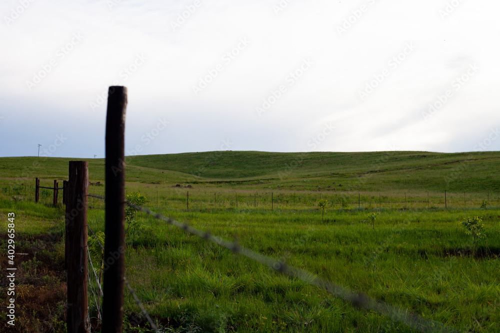 Rolling green hills landscape with a fence in the foreground