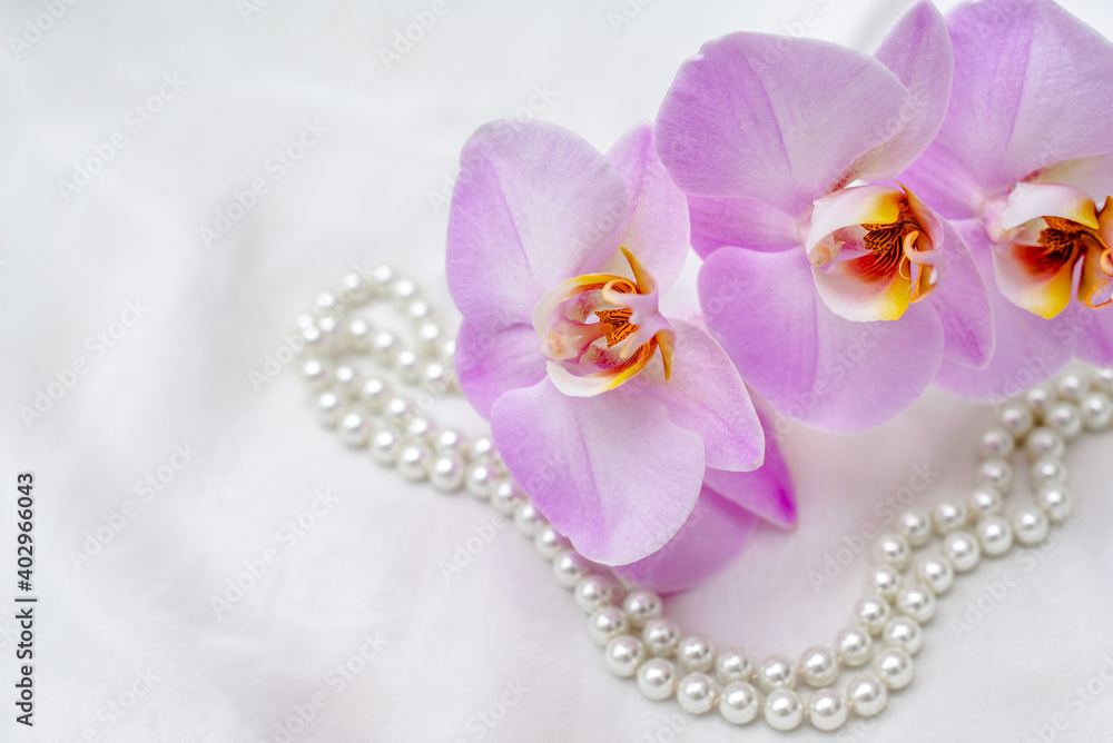 The branch of purple orchids on white fabric background The branch of purple orchids on white fabric background