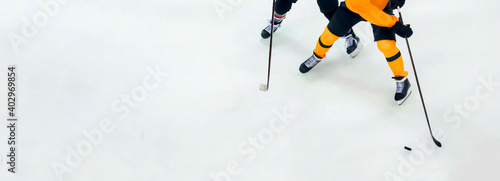 Professional ice hockey player on the ice. Team sport concept