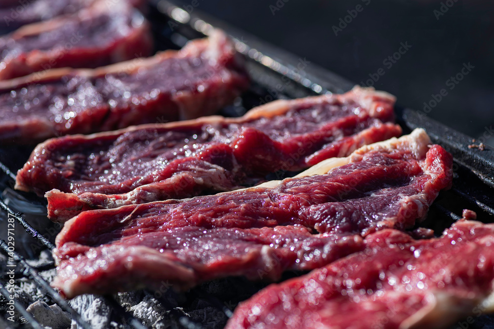 Chunks of fresh meat ready for barbecue close up Chunks of fresh meat ready for barbecue close up
