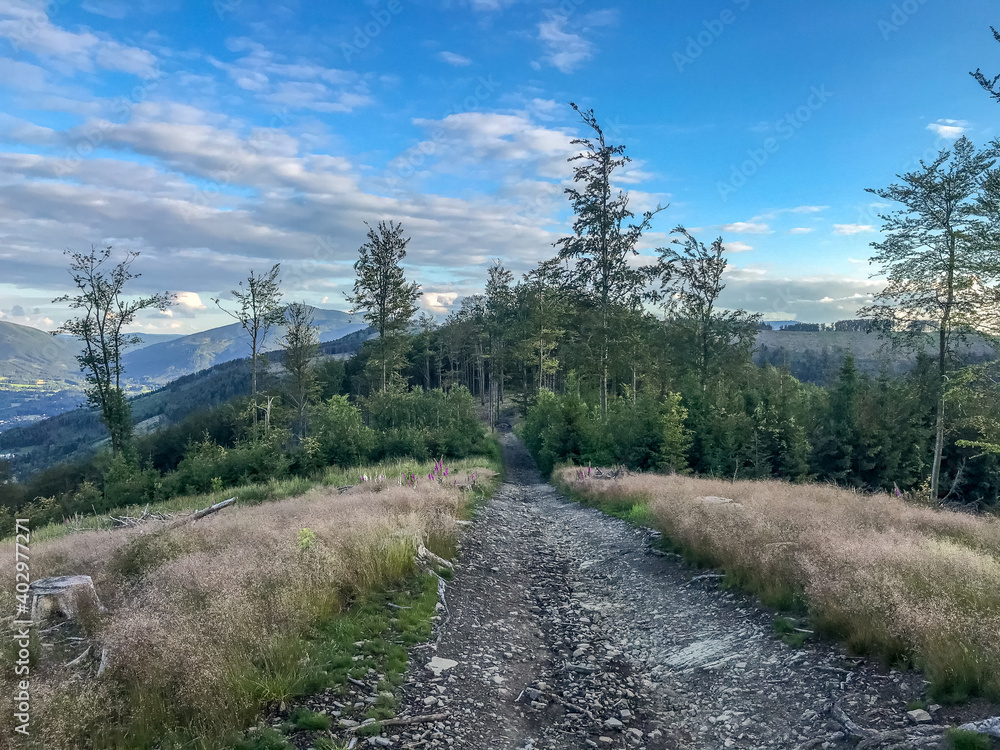 Stony path leading to the ridge of Mount Ondrejnik with trees around and blue sky in the background. Stony path leading to the ridge of Mount Ondrejnik with trees around and blue sky in the background.