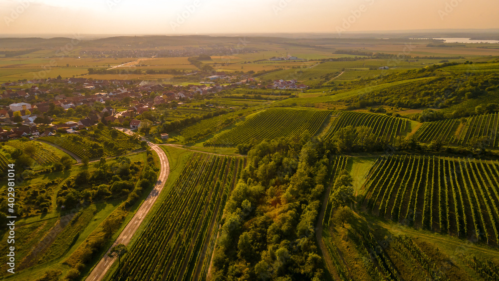 Aerial view of a path at sunset and the vineyards lying in South Moravia captured during a sunny late afternoon.