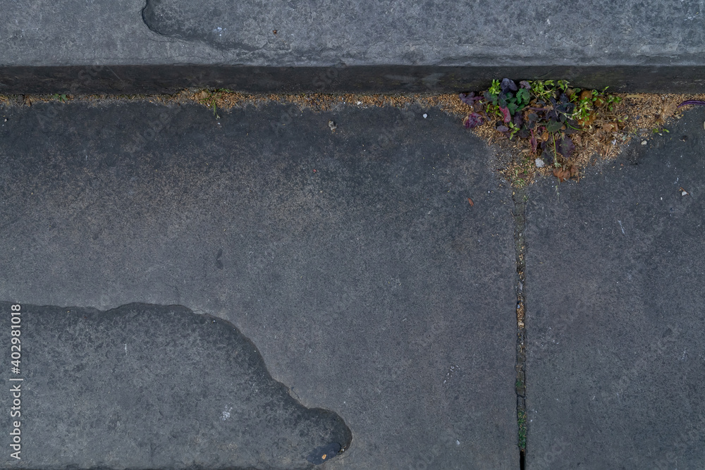 Fototapeta premium Blue limestone tiles floor texture on the walkway. Vintage rock tile texture floor for background. Copy Space. No focus, specifically.