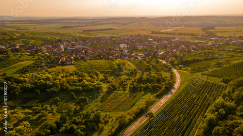 Aerial view of a path at sunset and the vineyards lying in South Moravia captured during a sunny late afternoon.