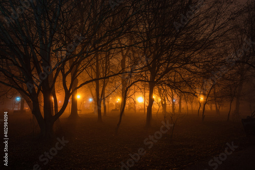 Obraz na płótnie Lights in the park w salonie