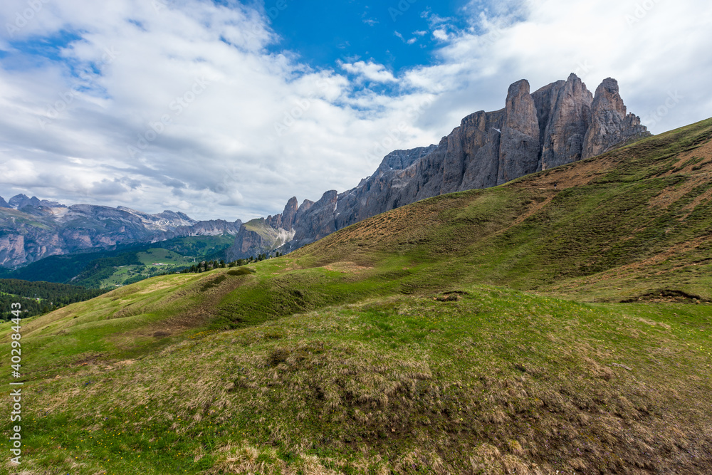 landscape forest in trentino with dolomiti mountain