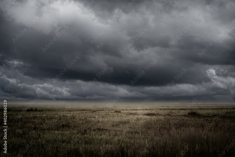 empty grassland and storm