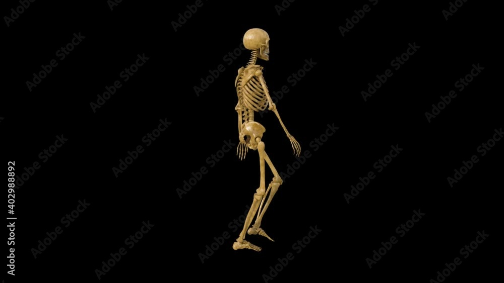 skeleton walks , animation, green background, loop skeleton walks , animation, green background, loop