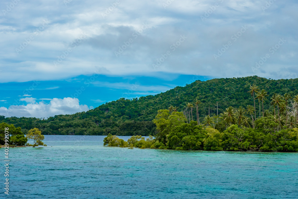 Tropical jungle in remote islands of Papua New Guinea Tropical jungle in remote islands of Papua New Guinea