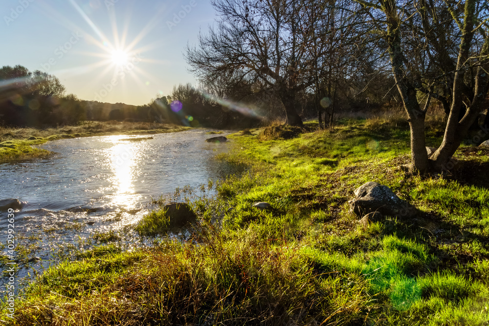 Sunny landscape with rays of sun, river with water and grass in winter sunrise.
Sunny landscape with rays of sun, river with water and grass in winter sunrise.